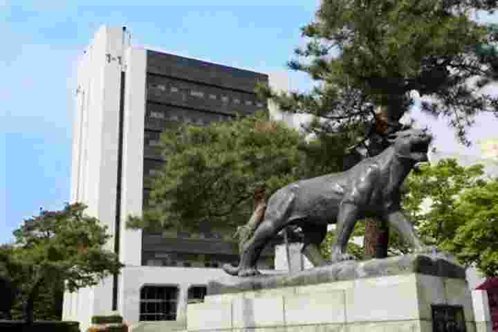 解忧留学社专注韩国留学,遇见解忧希望你喜欢,我们曾经是你,所以更加懂你,解忧的成员都是在国外留学生活并且从事过相关工作有着丰富的经验，以便处理申请中的各种问题，保持初心，旨在为各位学弟学妹们铺垫一个更加舒心放心的留学第一步.